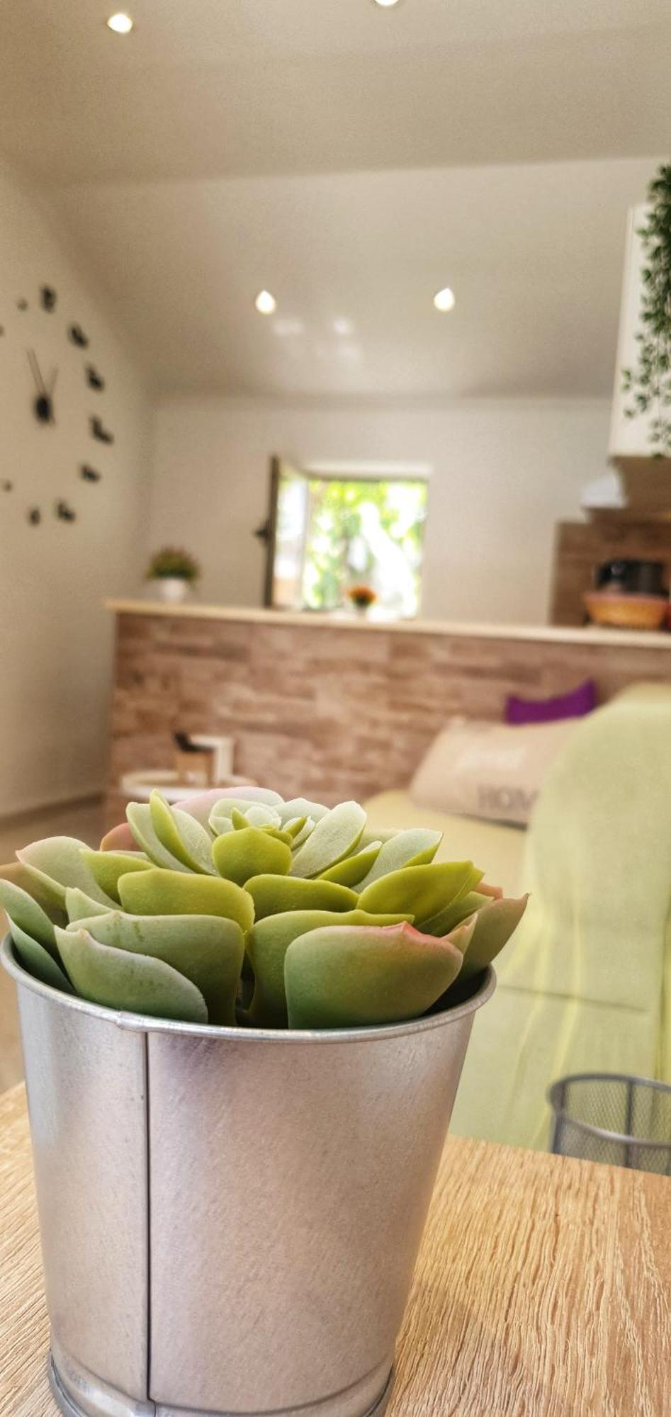 דוברובניק Apartments Marija Vukas חדר תמונה